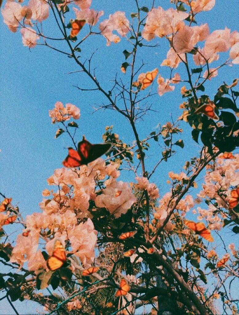 777x1024 Free download Flowers Flower aesthetic Flower wallpaper [777x1024] for your Desktop, Mobile & Tablet. Explore Aesthetic Spring Wallpaper. Aesthetic Wallpaper, Aesthetic Wallpaper, Cute Aesthetic Wallpaper
