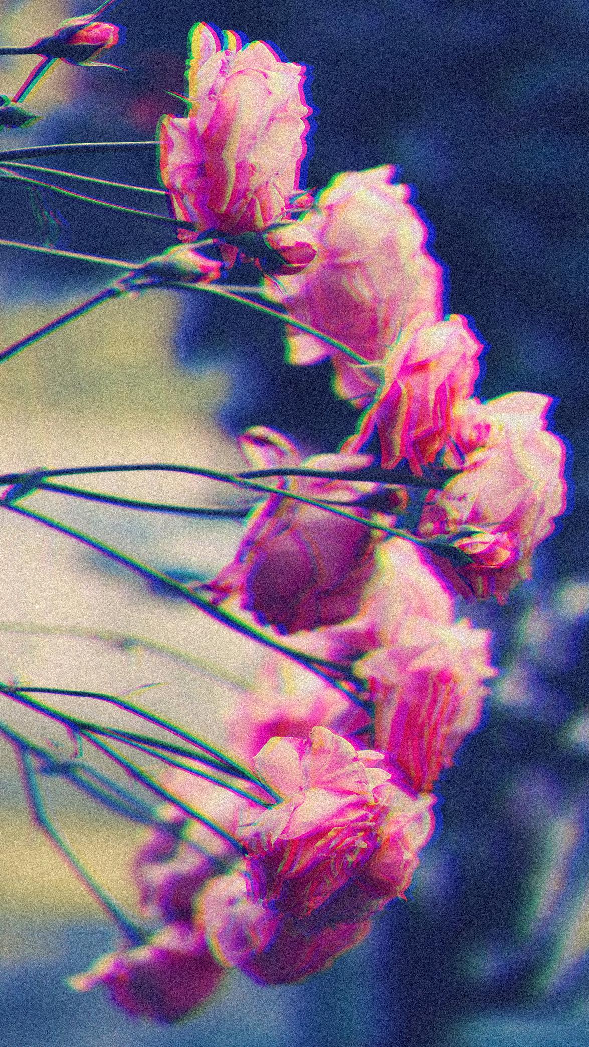 1175x2088 The ULTIMATE collection of aesthetic phone wallpaper (iPhone & Android )