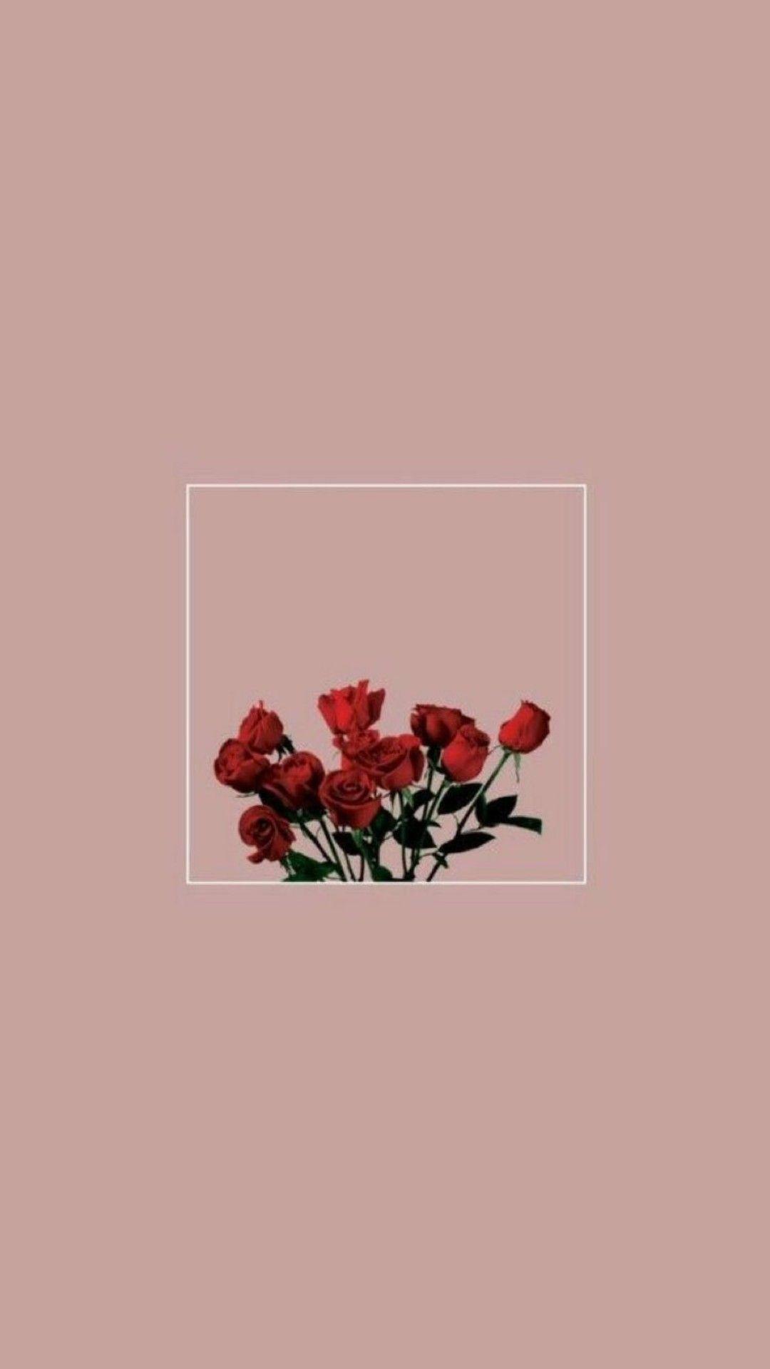 1080x1920 Minimalist Flower Wallpaper
