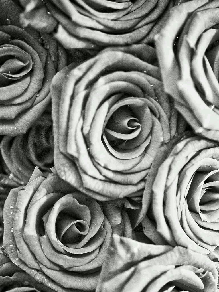 768x1024 Background, Black, And Chic Image Background Black And White HD Wallpaper