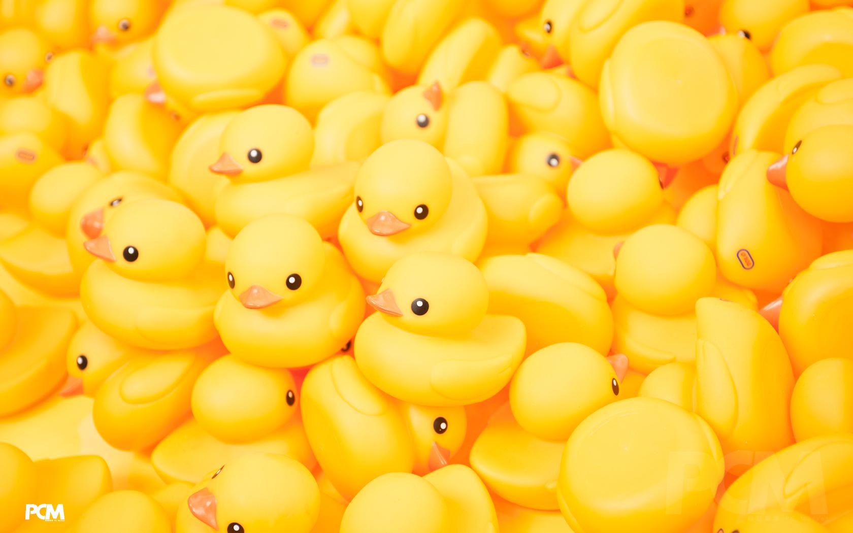 1680x1050 Background Cartoon Duck Wallpaper