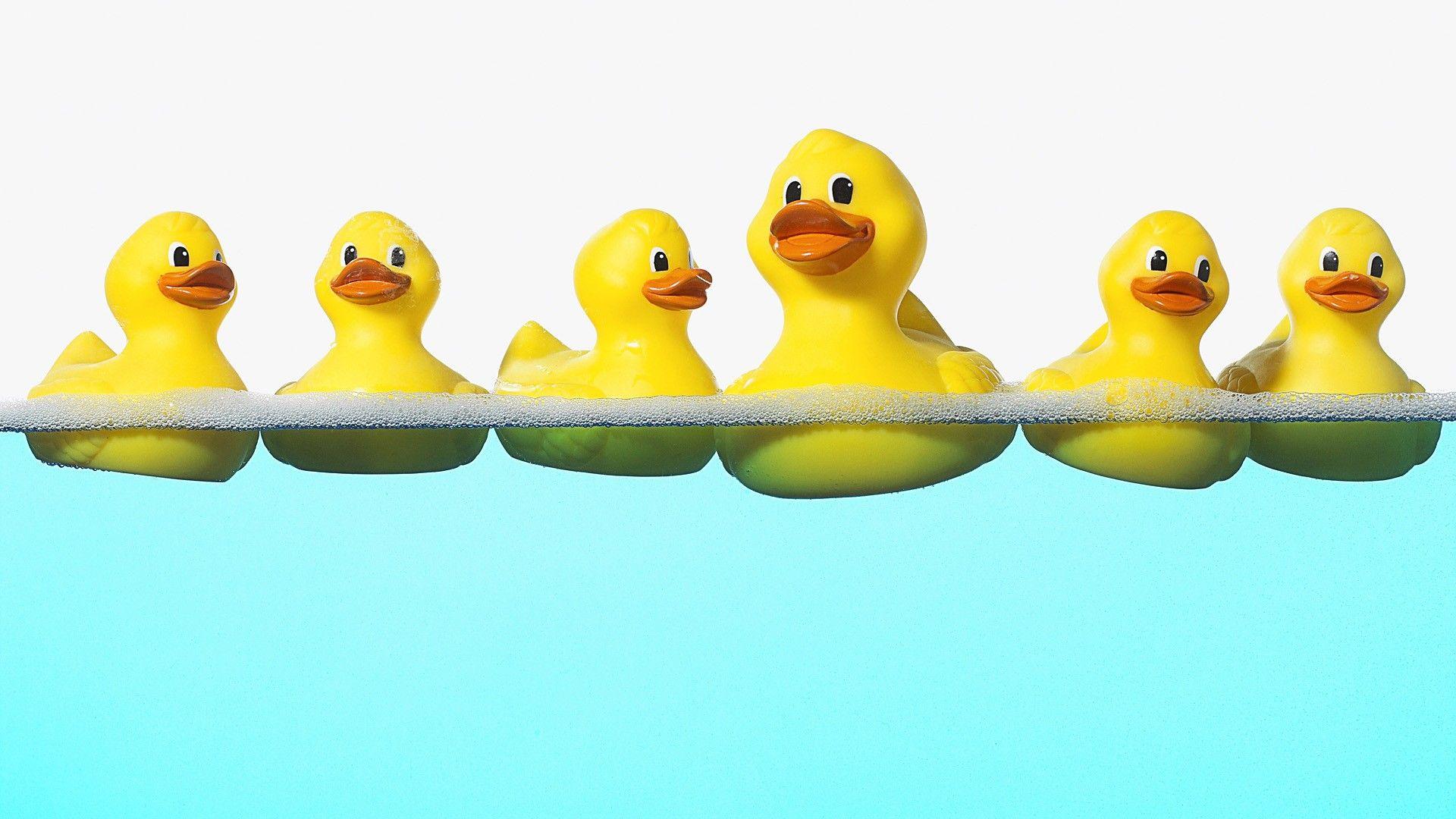 1920x1080 Cartoon Duck Wallpaper