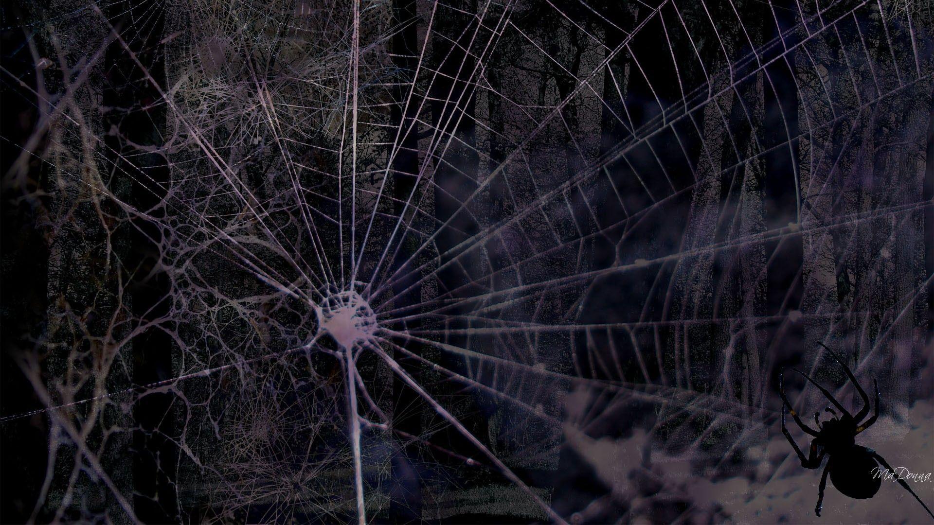 1920x1080 Halloween Spiders Wallpaper