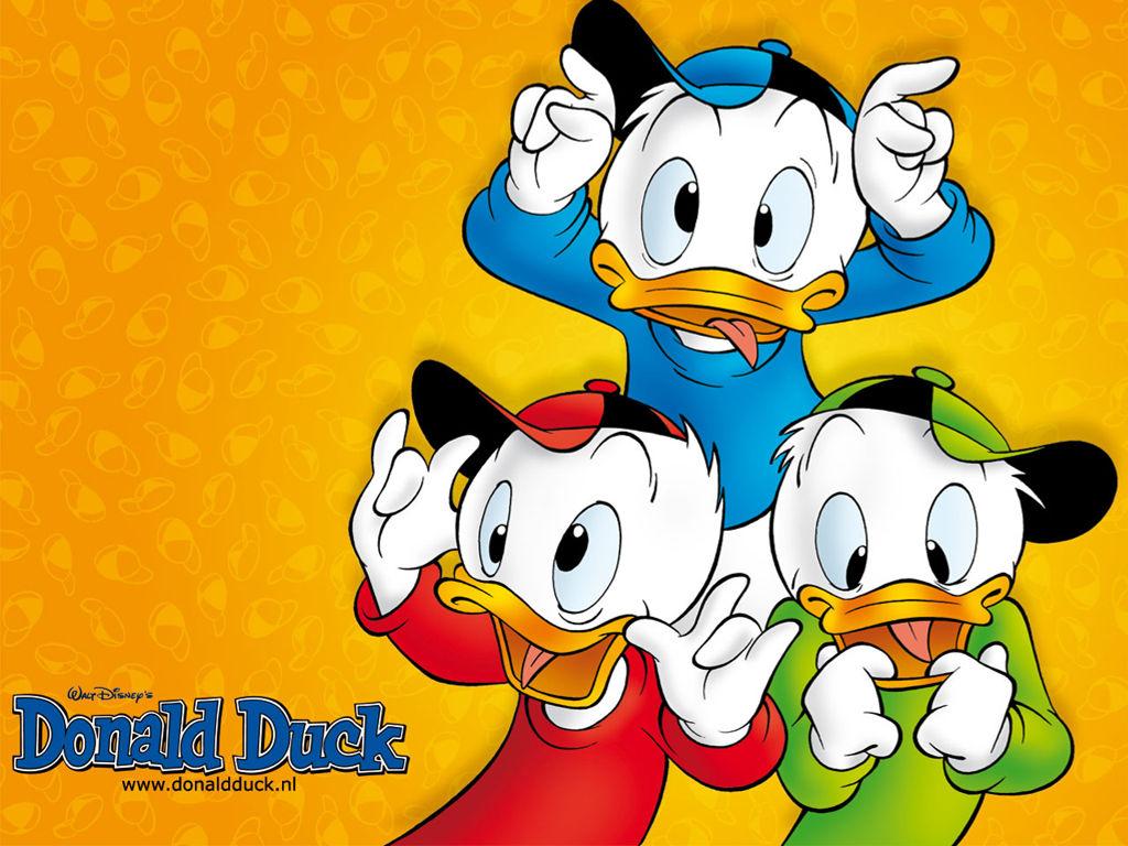 Yellow Duck Cartoon Wallpapers Top Free Yellow Duck Cartoon