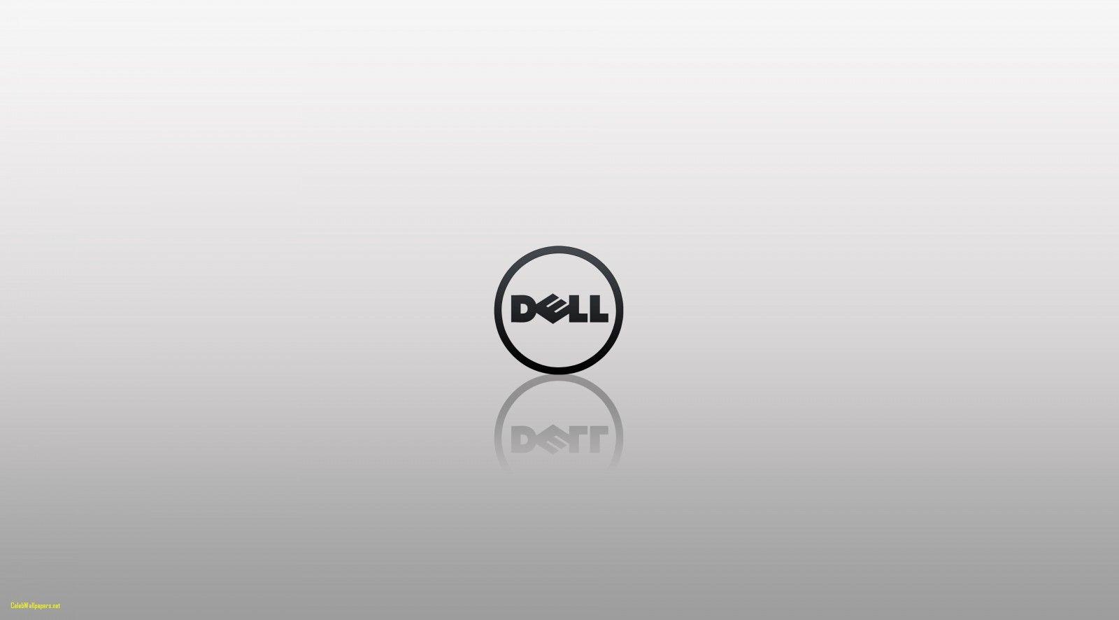 1600x886 Dell Wallpaper HD Labzada Wallpaper