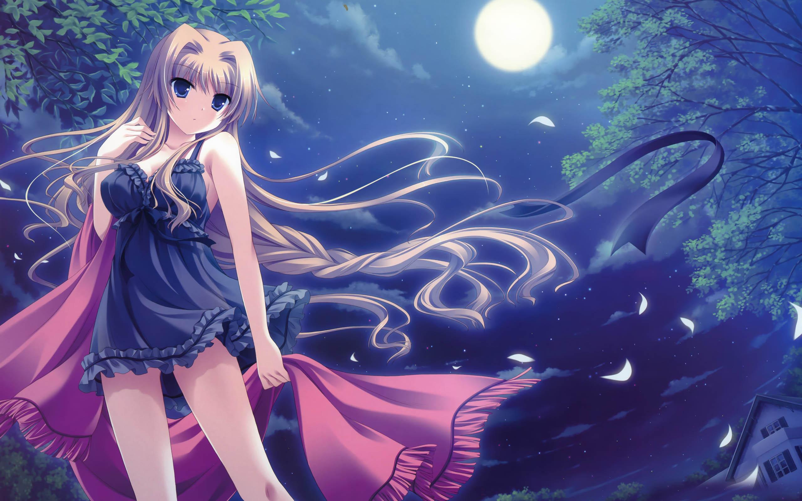 2560x1600 Girl Anime Background HD HD Wallpaper