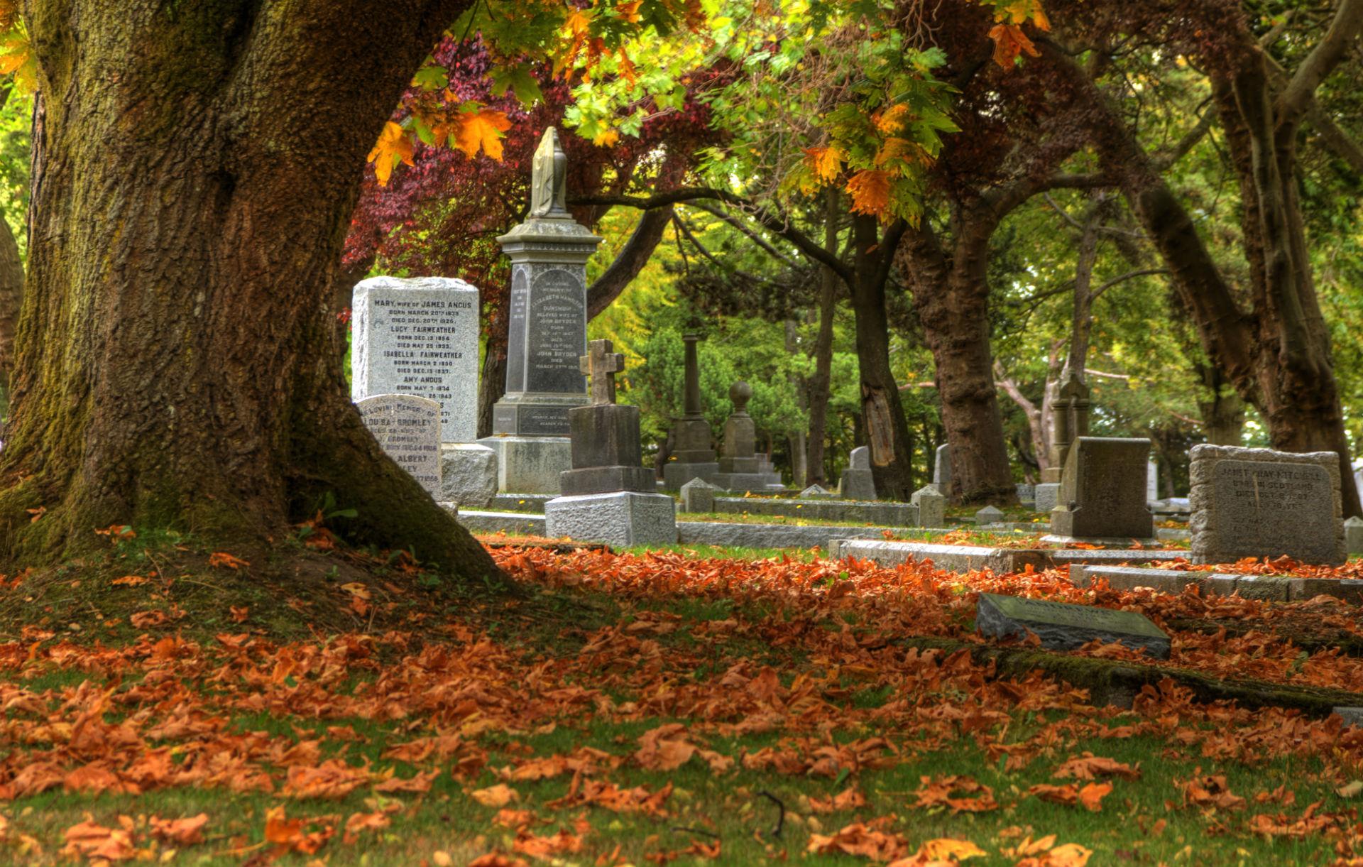1920x1221 cemetery, Grave, Headstone, Gothic, Trees, Leaves, Autumn, Fall Wallpaper HD / Desktop and Mobile Background