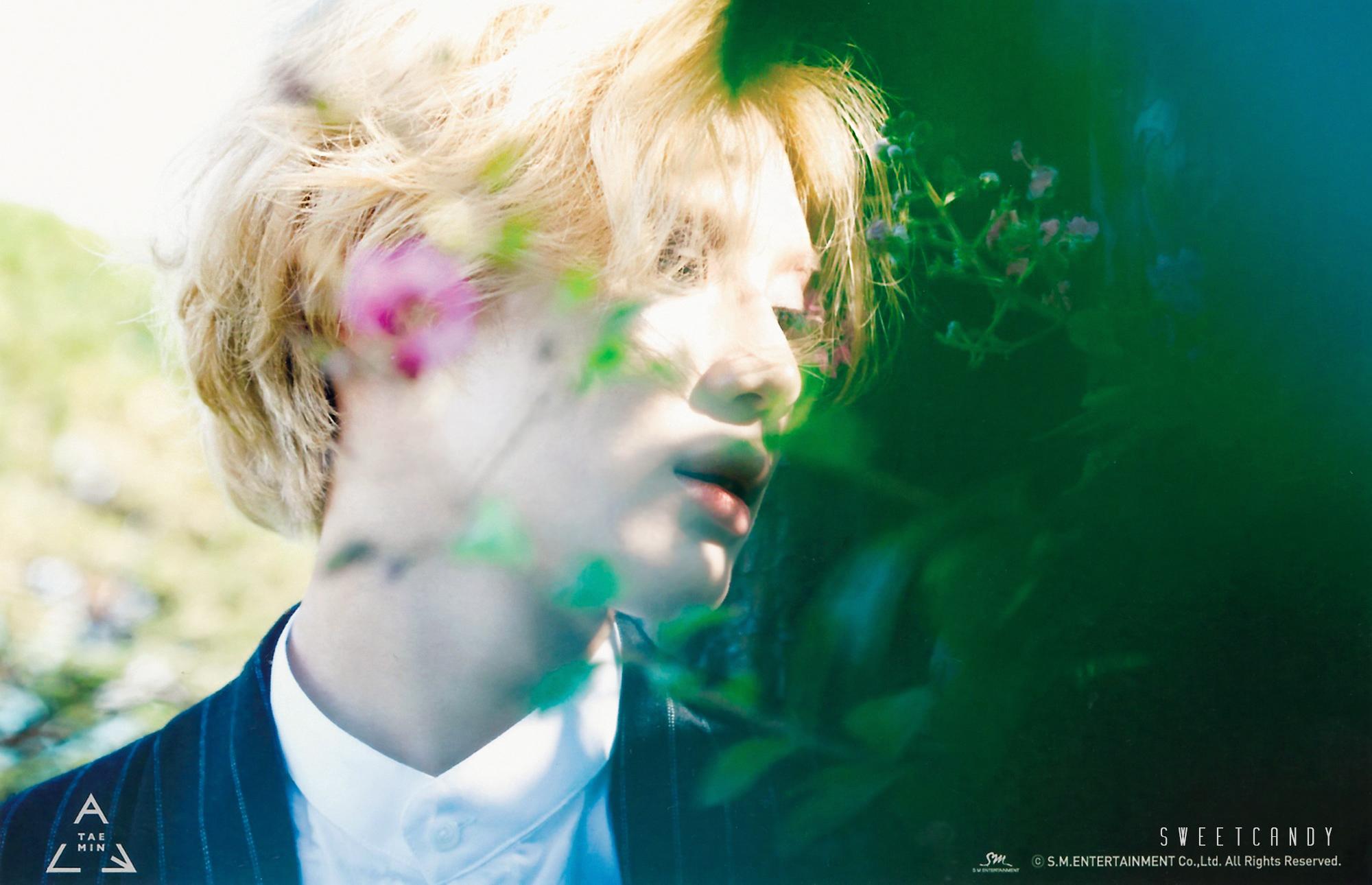 2000x1290 Shinee Taemin Ace Album Scan HD Wallpaper
