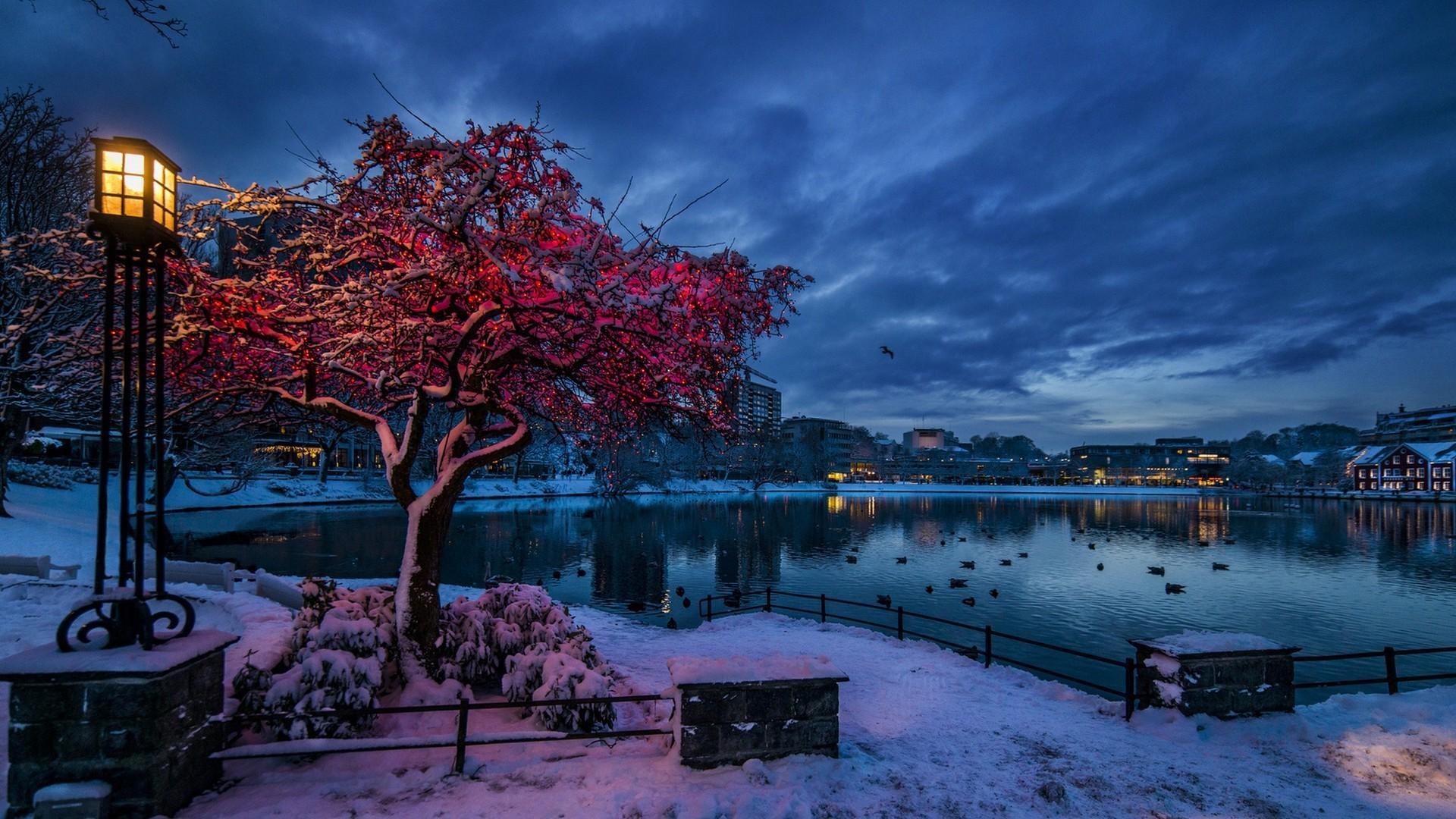 1920x1080 Snow in the City