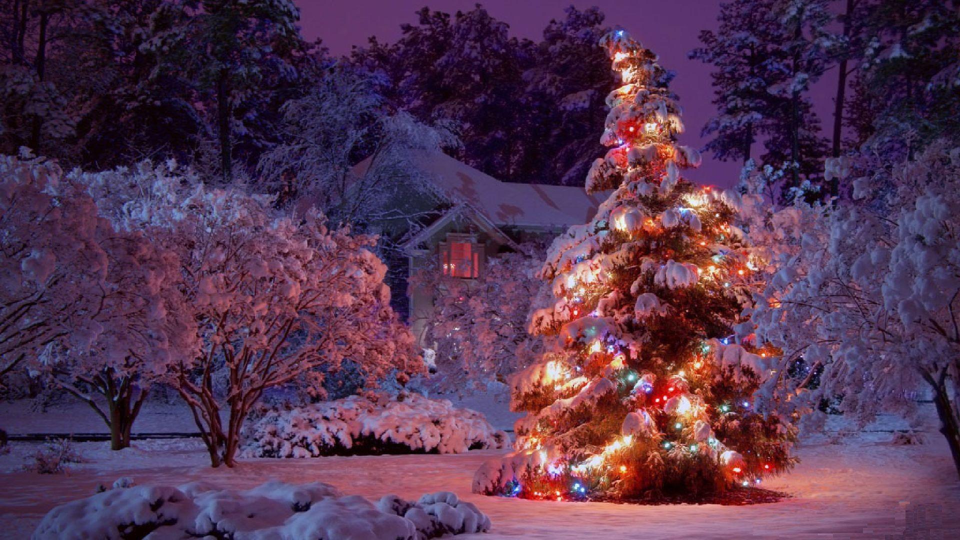1920x1080 Christmas Winter Desktop Wallpaper, Christmas Winter Picture, New