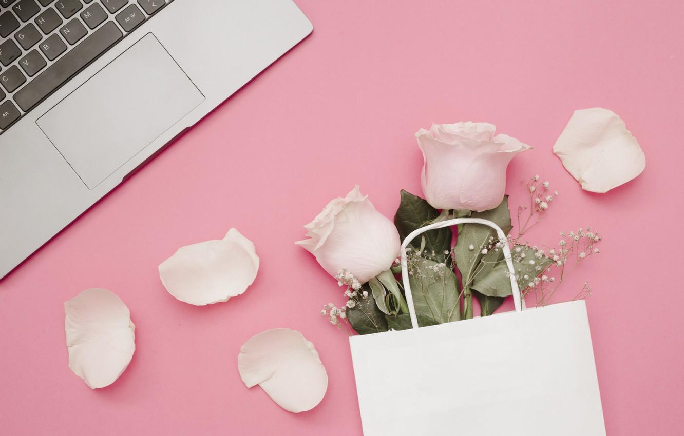1332x850 Pink Laptop Wallpaper