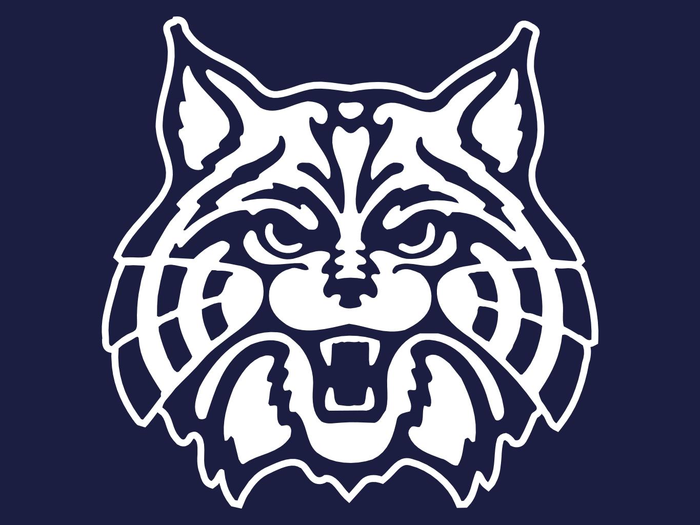 1365x1024 University Of Arizona Wildcats Wallpaper