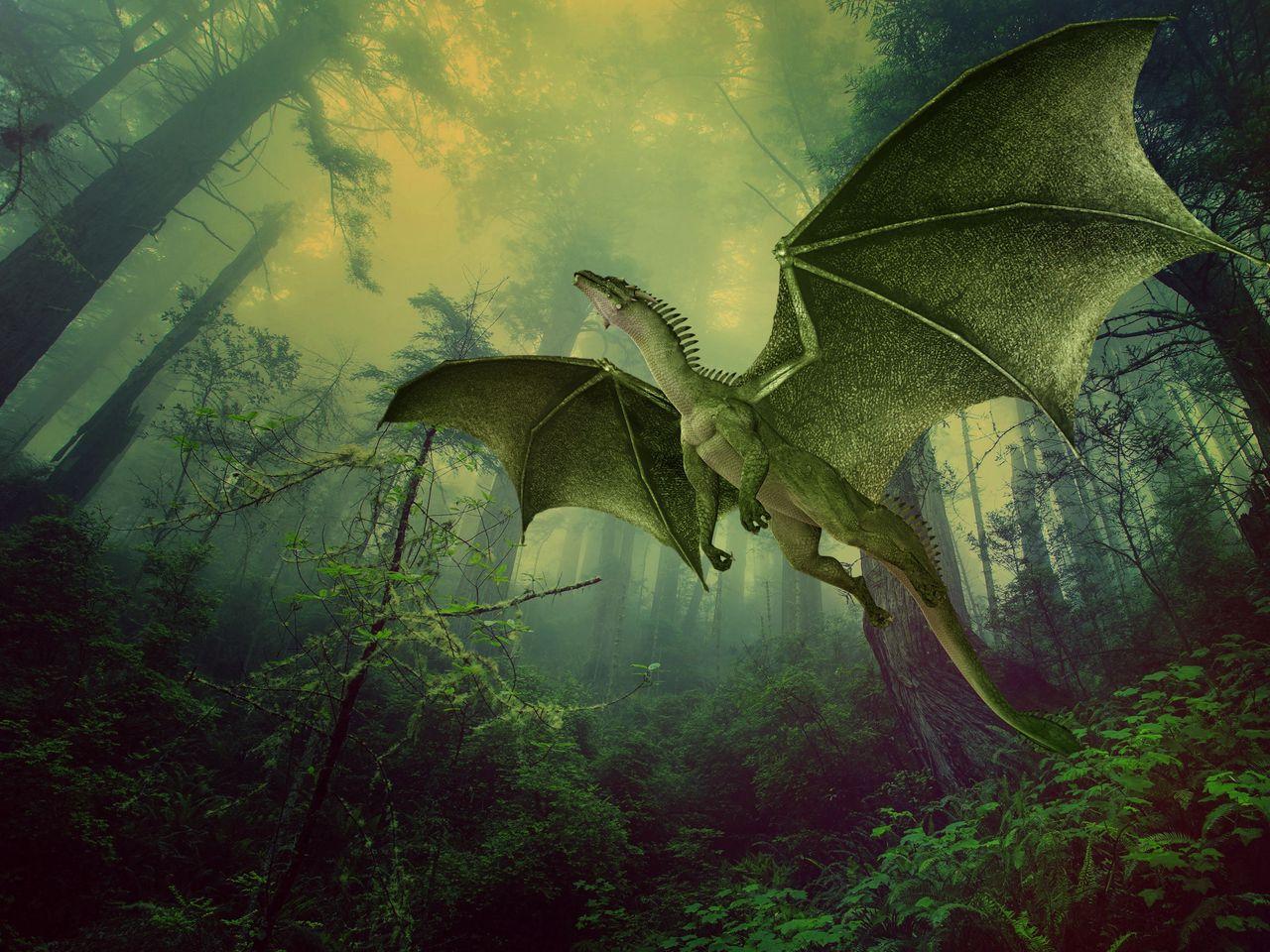 1280x960 Download wallpaper 1280x960 dragon, forest, fog, flight, photohop standard 4:3 HD background