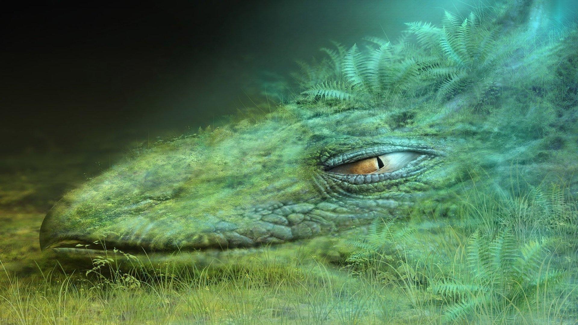 1920x1080 Forest Dragon HD Wallpaper