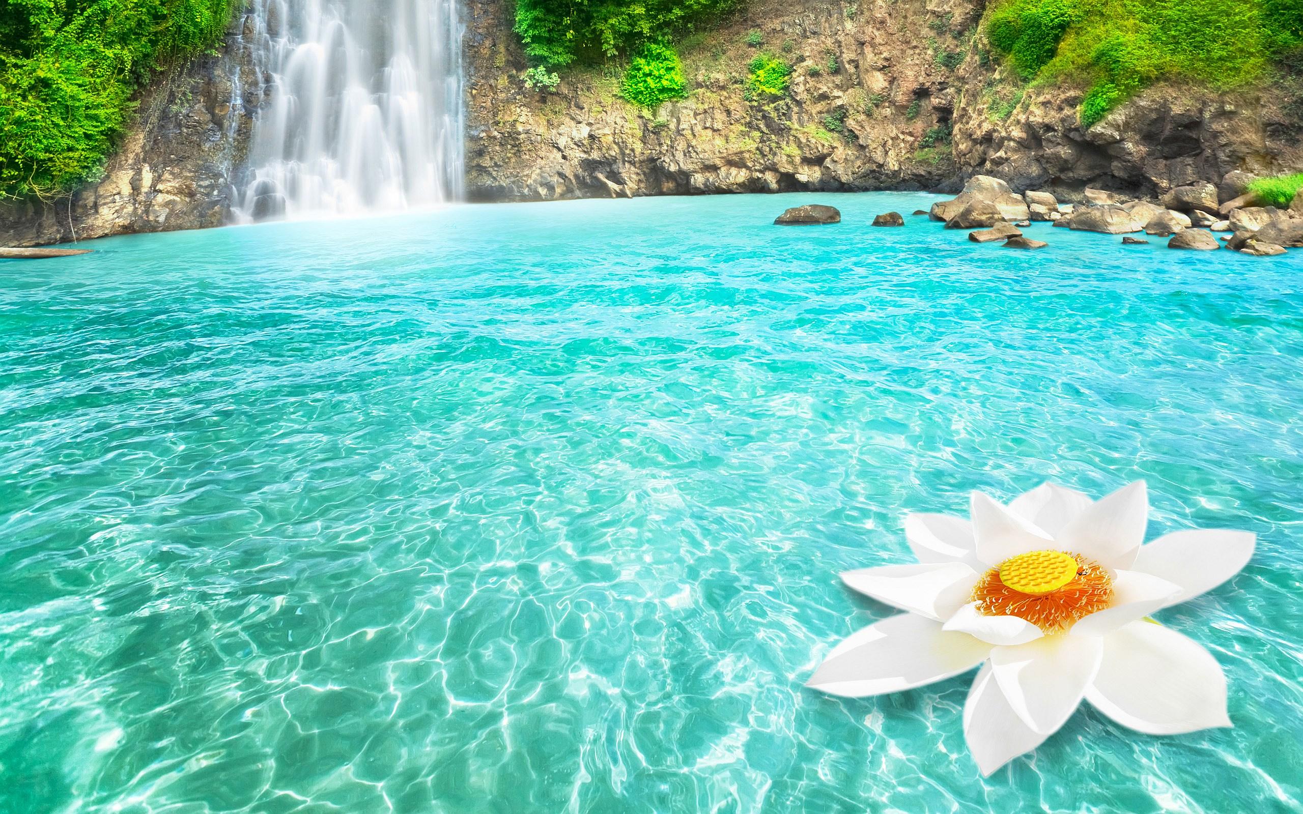 2560x1600 Waterfall Wallpaper High Quality