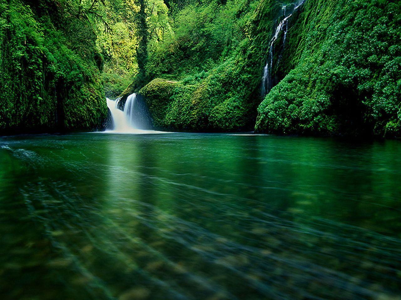 1280x960 Android Wallpaper 640 480 Dailymobile023. Waterfall Wallpaper, Beautiful Nature, Forest Waterfall