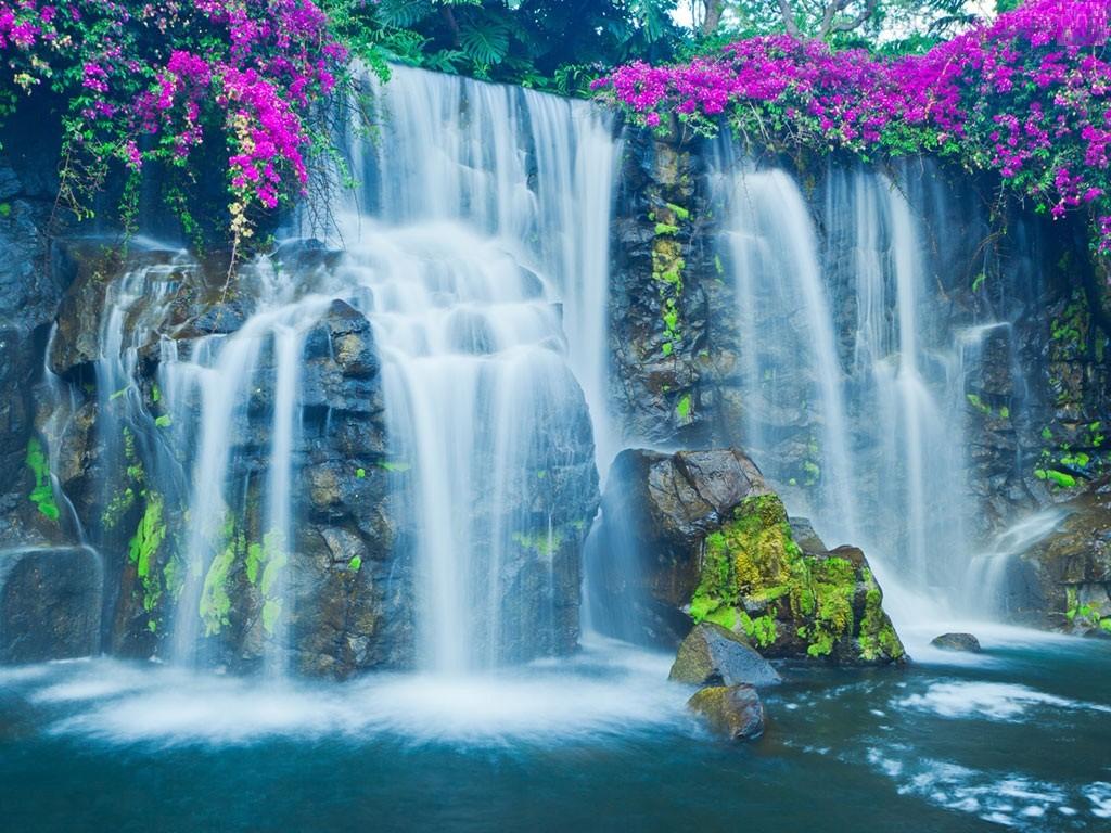 1024x768 Tropical Waterfall Wallpaper