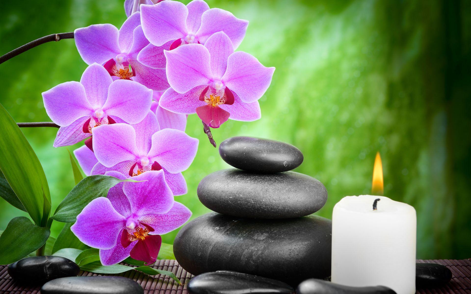 1920x1200 Download wallpaper orchid, bamboo, stones, flower, massage, black