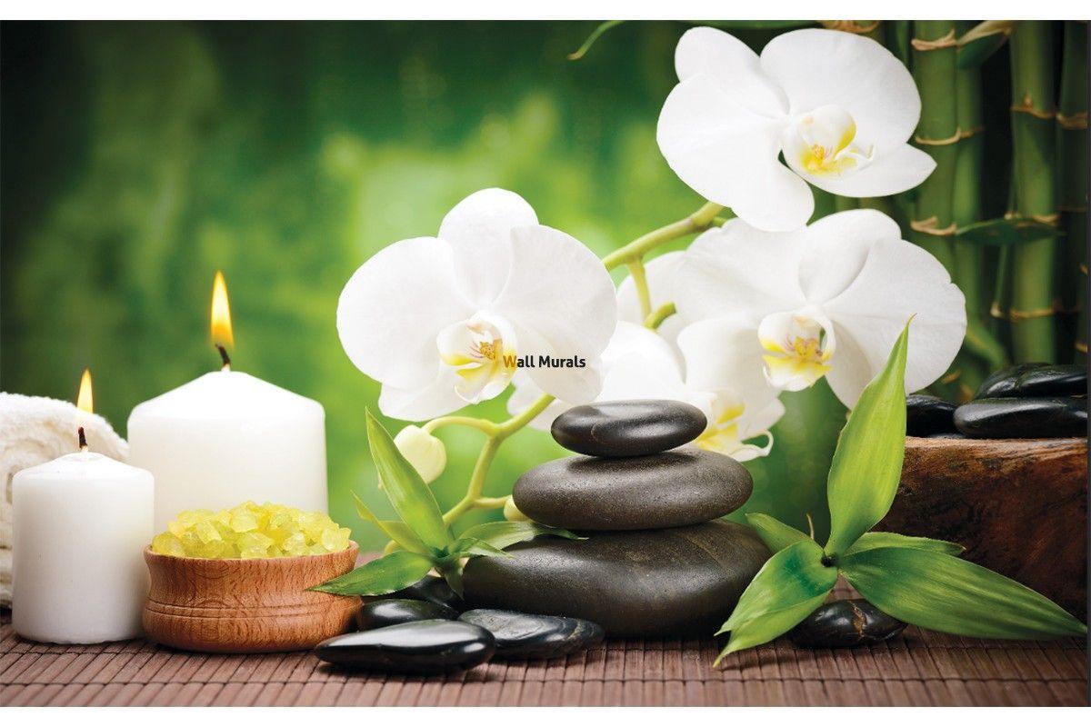 Orchid and Bamboo Wallpapers - Top Free Orchid and Bamboo Backgrounds