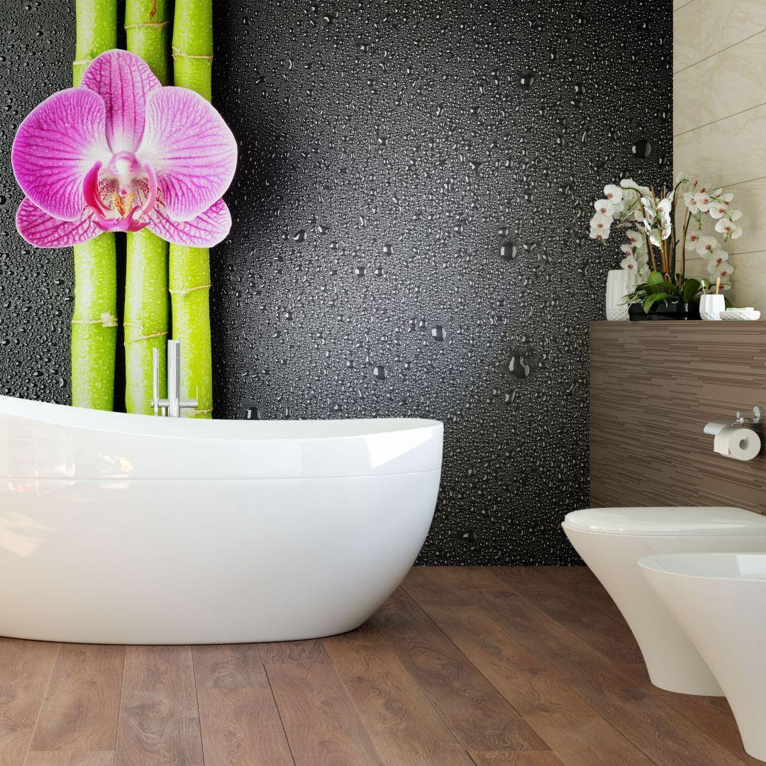 Orchid and Bamboo Wallpapers - Top Free Orchid and Bamboo Backgrounds