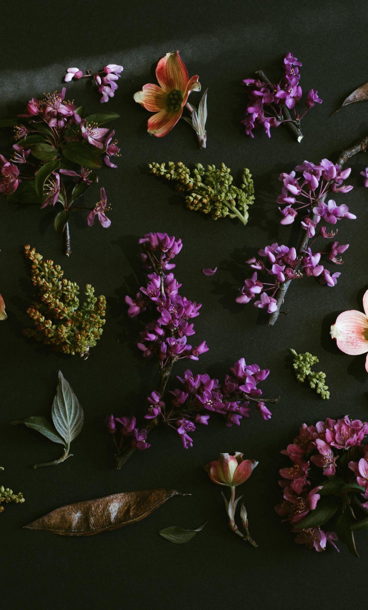 1280x2120 Colorful, many flowers wallpaper. Flower wallpaper, Wallpaper, Flowers