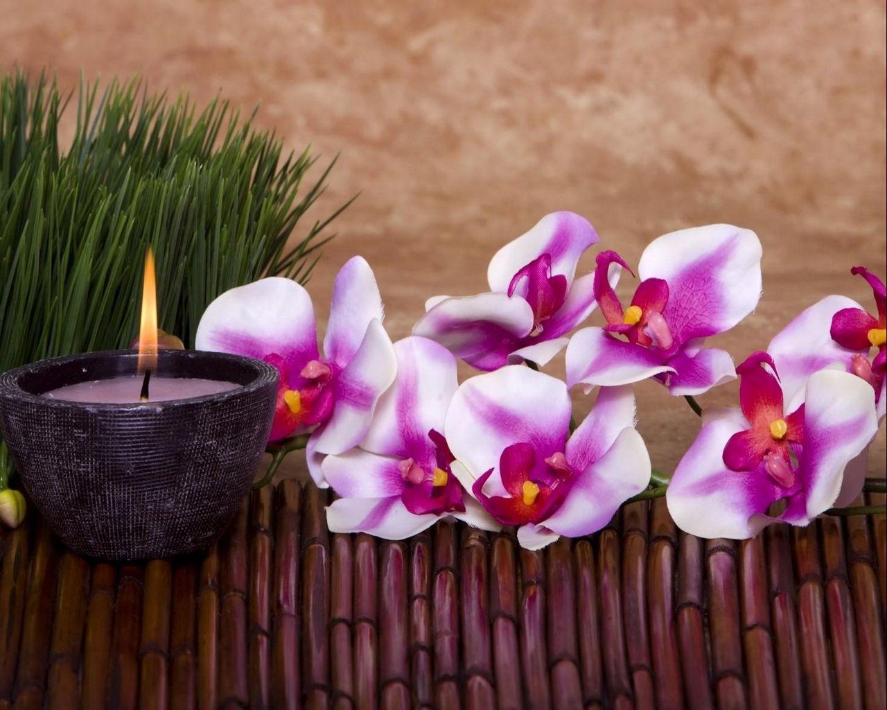 1280x1024 Download wallpaper 1280x1024 orchid, flower, candle, grass, bamboo