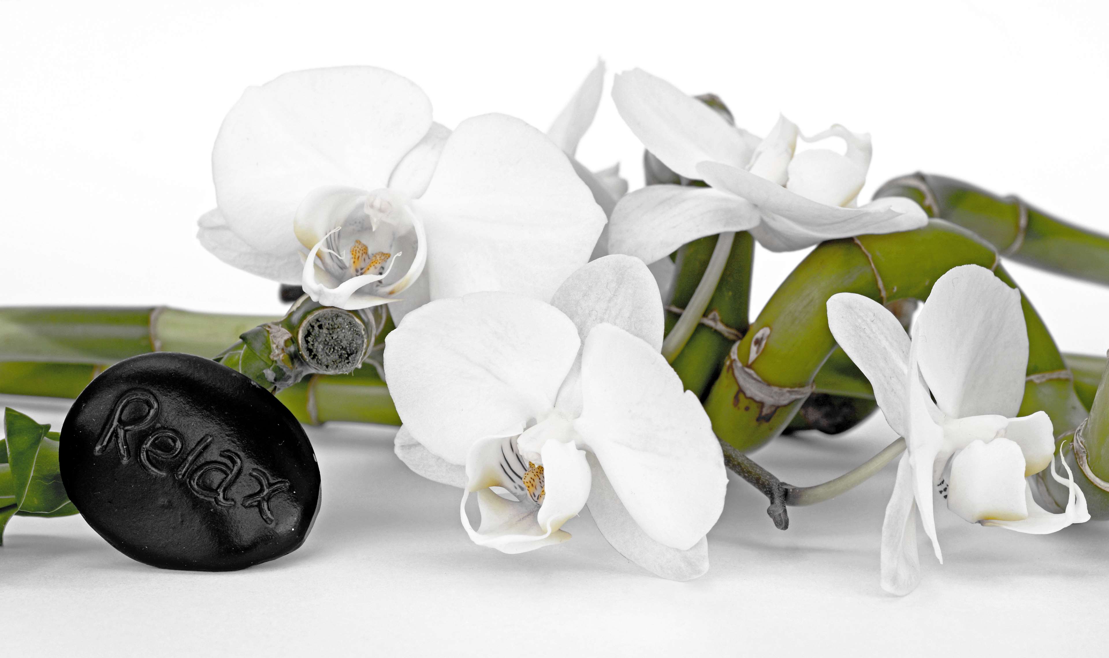 3840x2278 asia, balance, bamboo, bless you, botanical, branch, fengshui