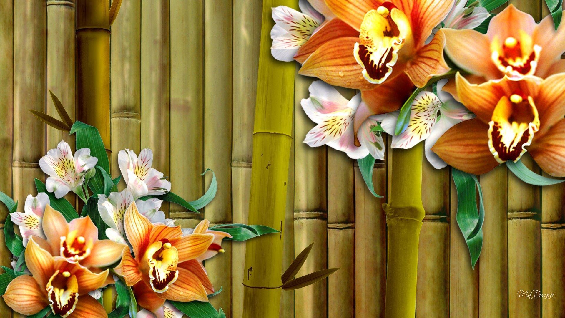 1920x1080 Flower: Orchids Bamboo Sakura Flowers Oriental Blooms Fleurs Orange