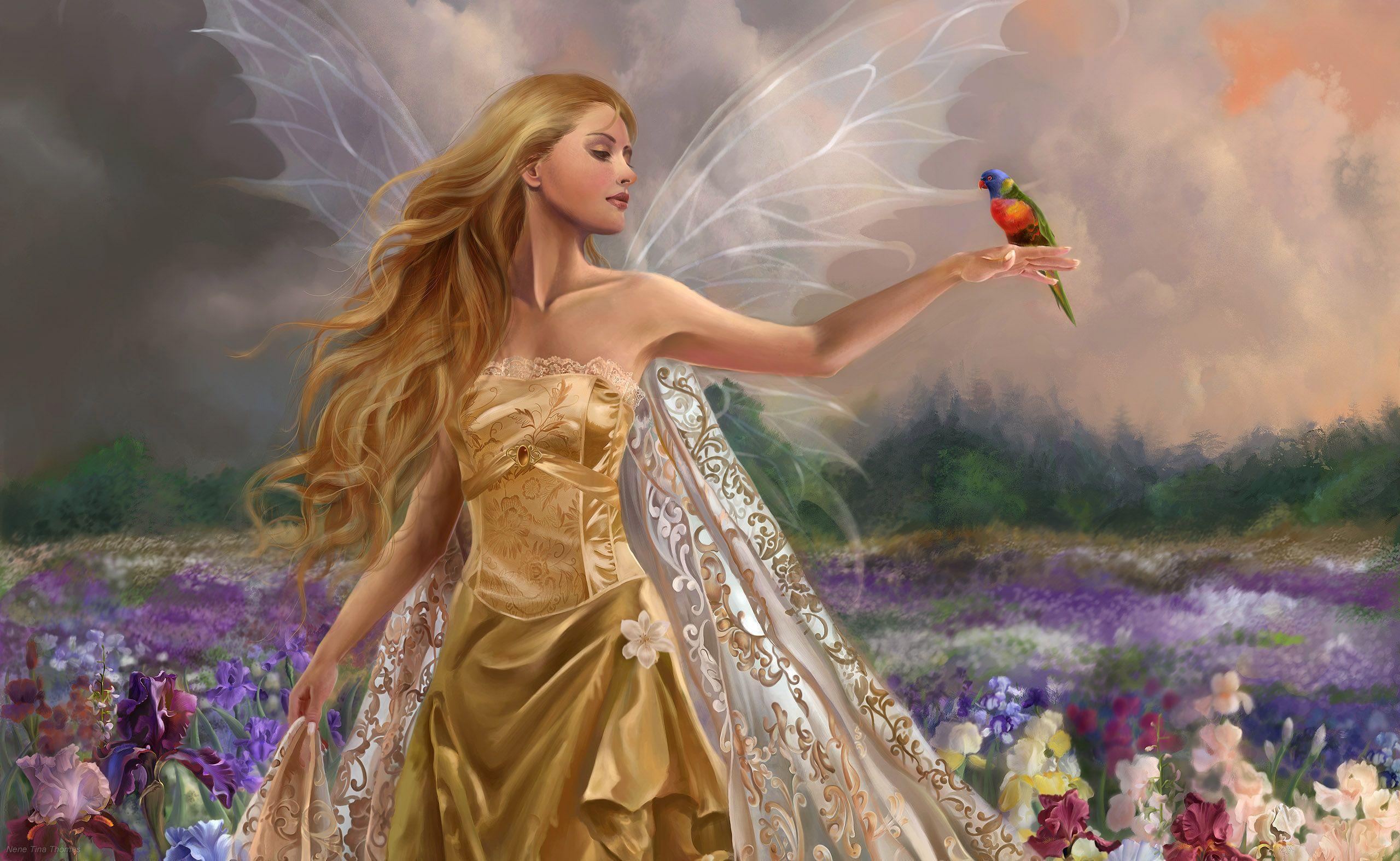 2560x1574 Fairy In Flower Field Wallpaper