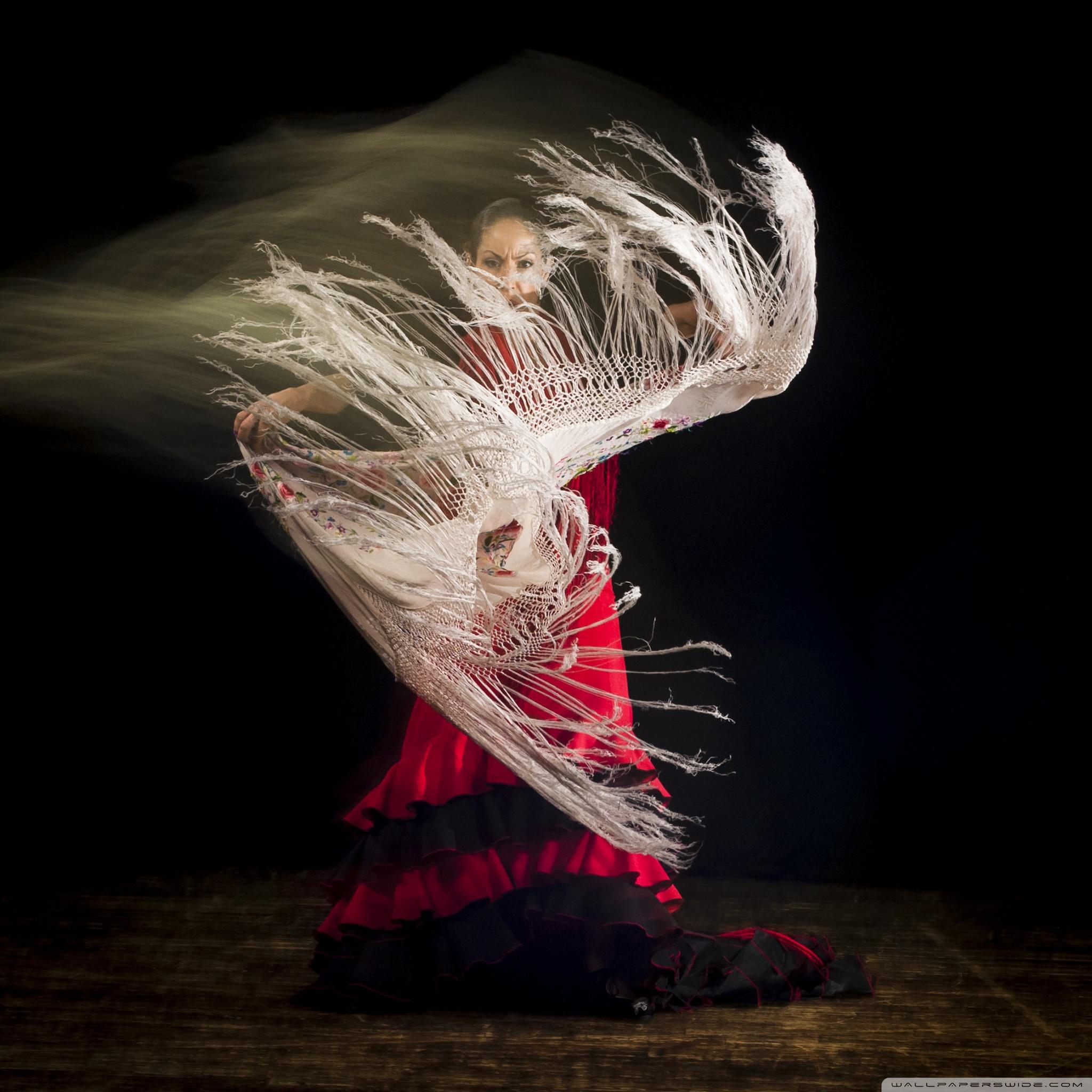 2048x2048 Flamenco Dance Ultra HD Desktop Background Wallpaper for 4K UHD TV : Widescreen & UltraWide Desktop & Laptop : Tablet