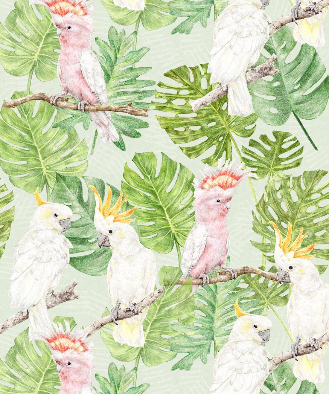 1100x1318 Tropical Cockatoos • Birght Tropical Bird Wallpaper