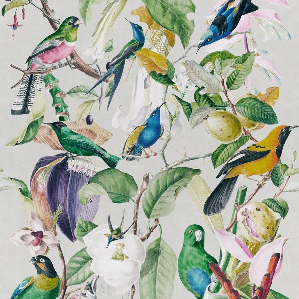 1000x1000 Tropical Birds Wallpaper
