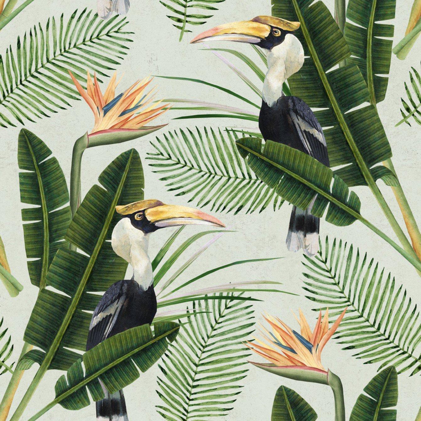 1340x1340 Birds of Paradise Wallpaper in Green and Orange from the Tropical Vibe