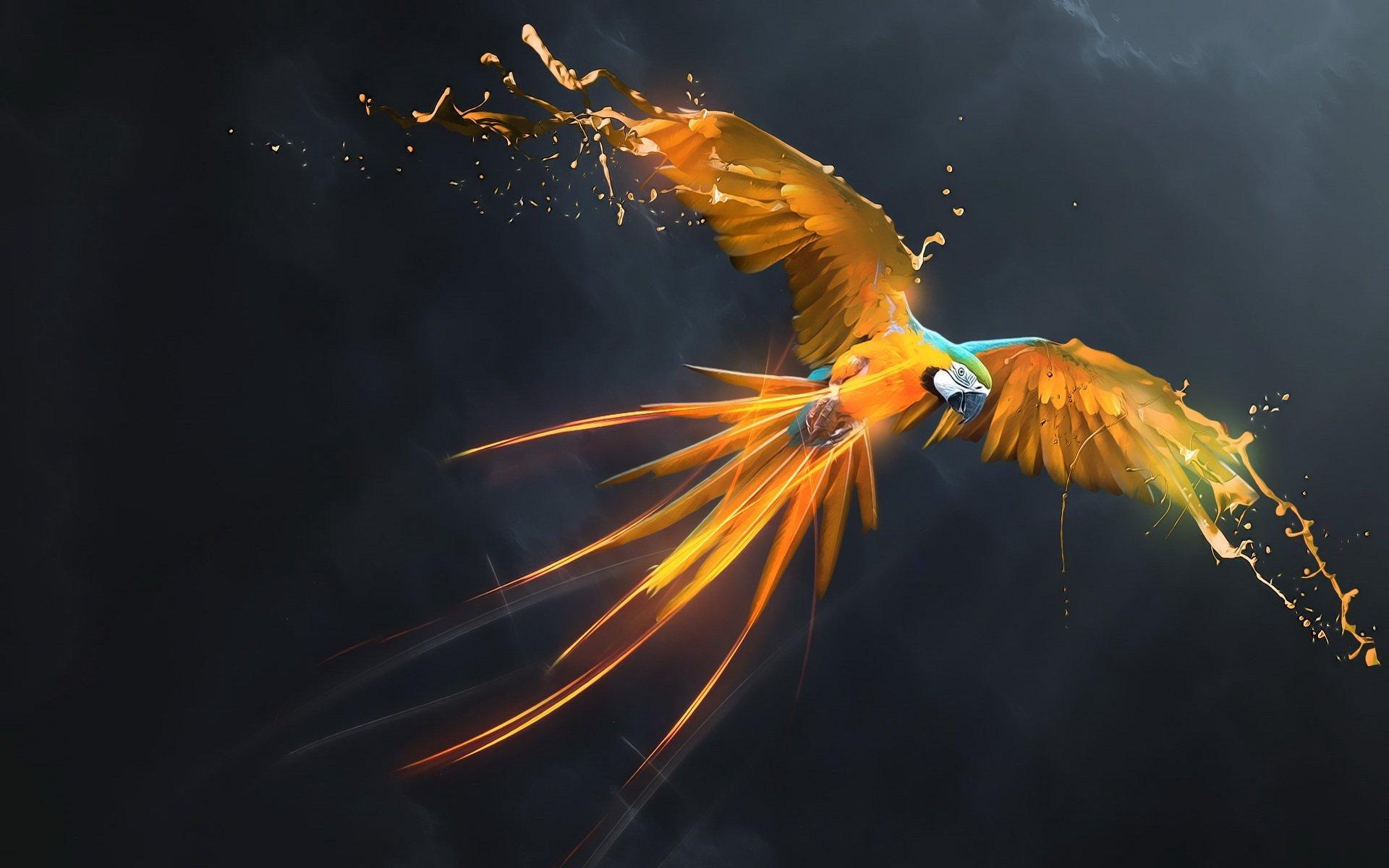 1920x1200 Bird Art Wallpaper