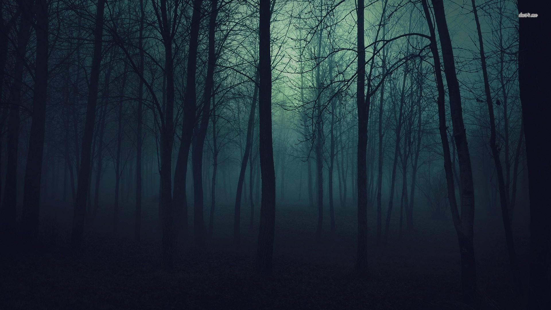 1920x1080 Creepy Forest