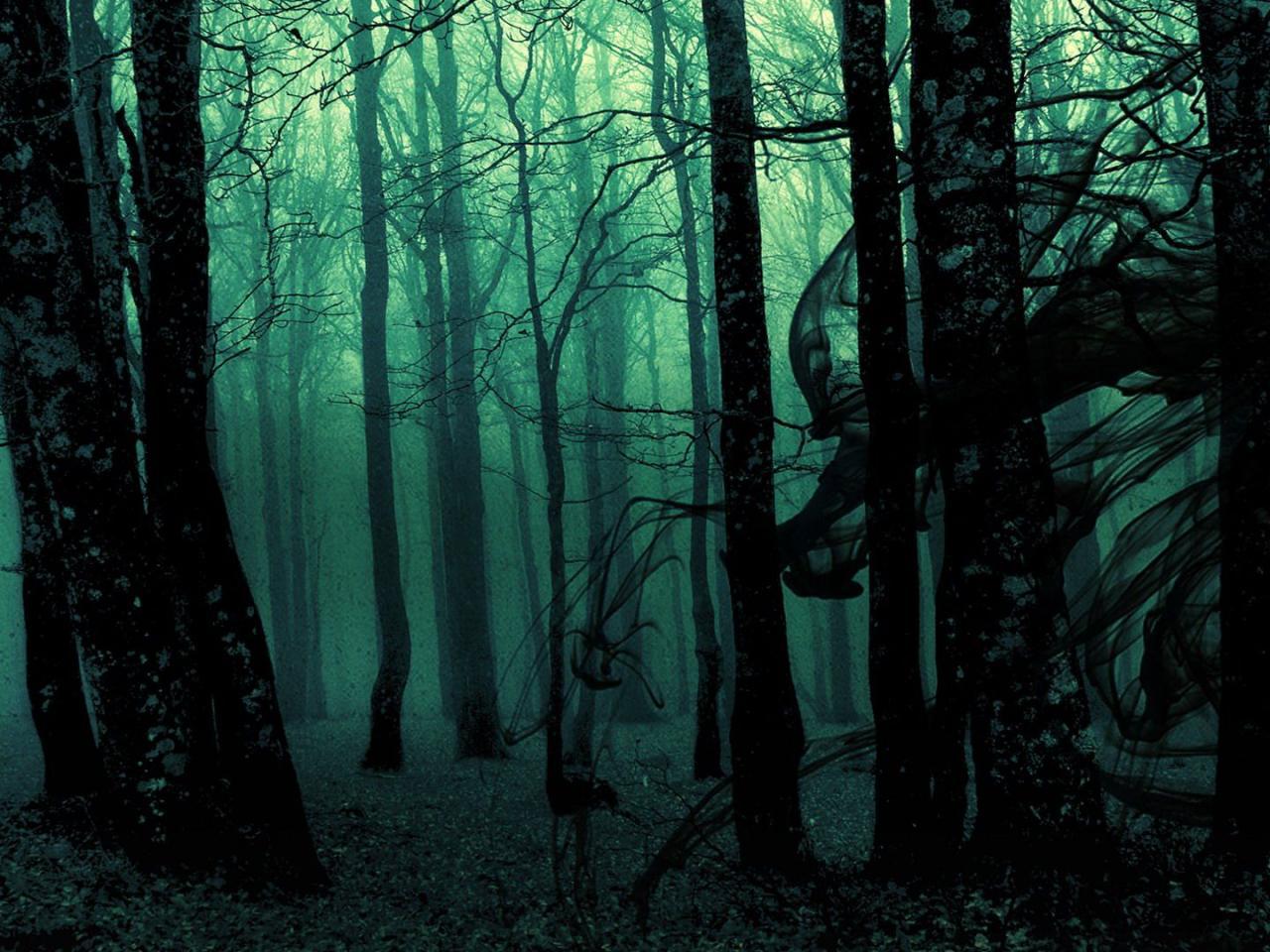 1280x960 Black Forest Wallpaper