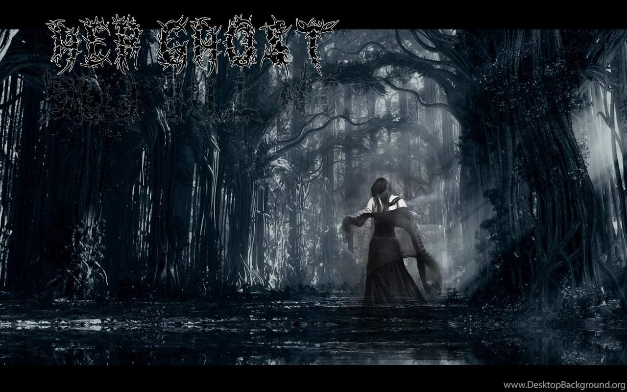 1280x800 Scary Forest Desktop Background