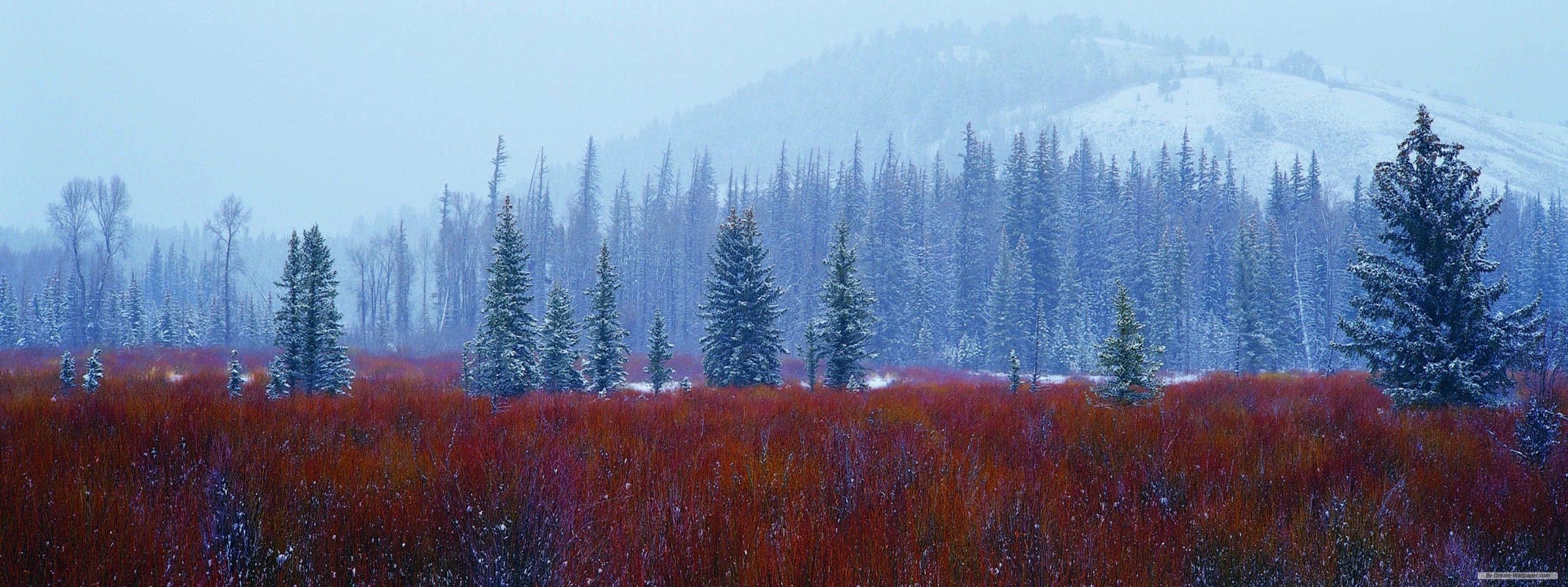 Nature Dual Monitor Wallpapers Top Free