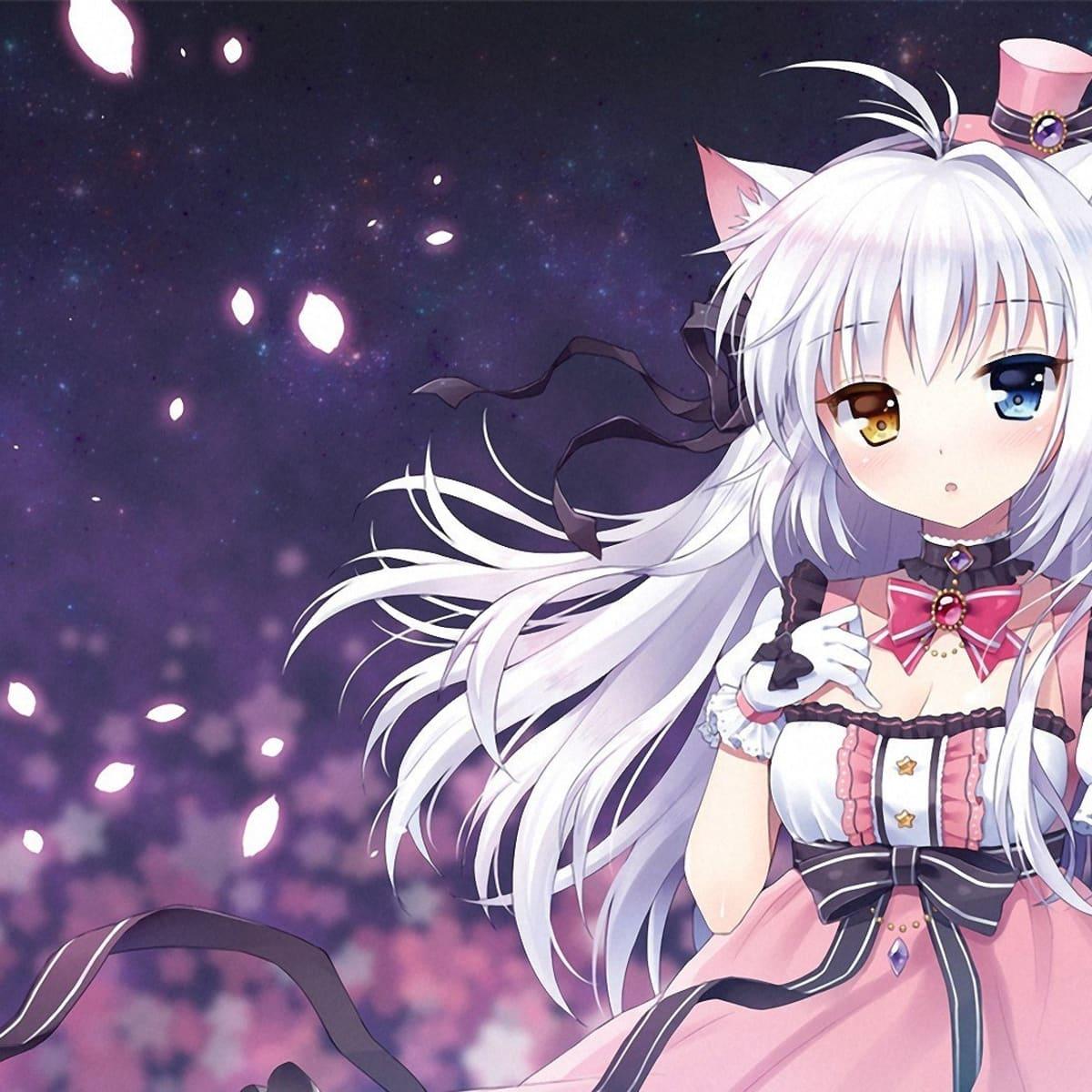 1200x1200 Everything You Need to Know About Anime Cat Girls