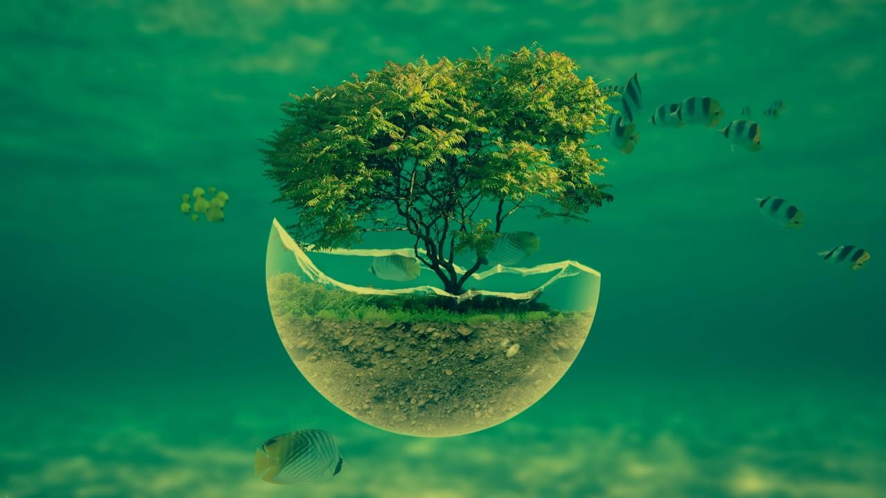 1280x720 Tree In A Glass Sphere, Water, Fish, Digital Art Wallpaper. Tree In A Glass Sphere, Water, Fish, Digital Art Stoc