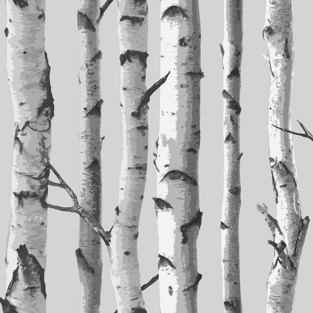 1000x1000 I Love Wallpaper Birch Tree Wallpaper Soft Grey / White (ILW980070) from I Love Wallpaper UK