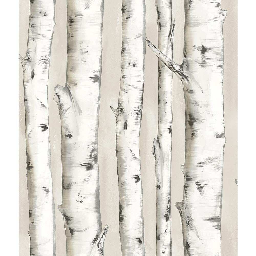 1000x1000 Chesapeake Pioneer Off White Birch Tree Paper Strippable Roll (Covers 56.4 Sq. Ft.) 3118 12601 Home Depot