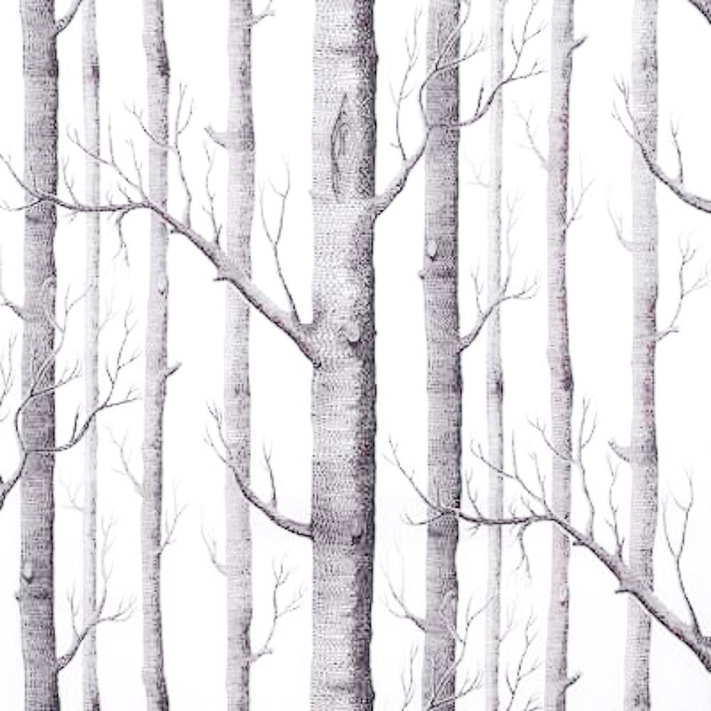 Polar white birch