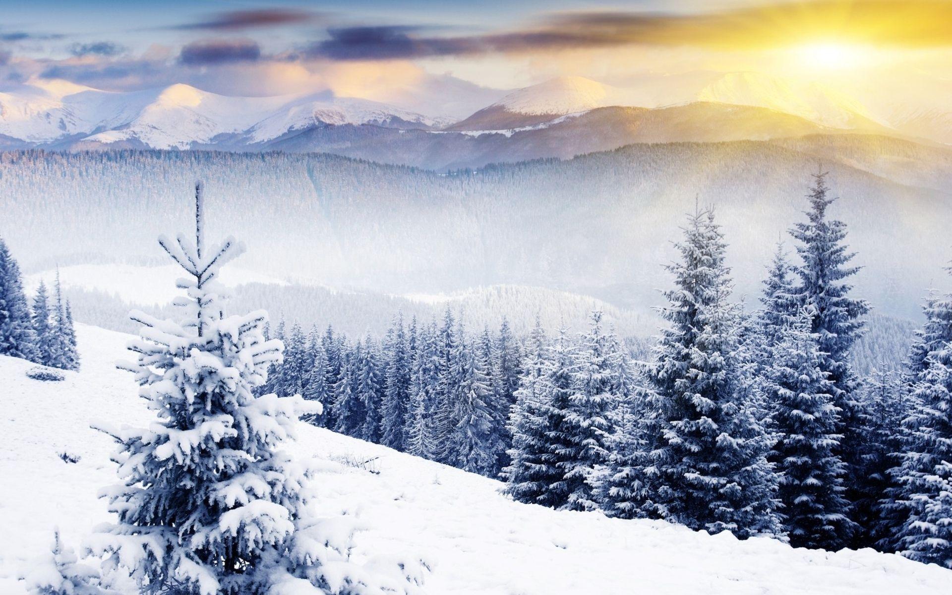 1920x1200 winter scenery. winter scenes Wallpaper. Winter scenery, Winter landscape, Scene background