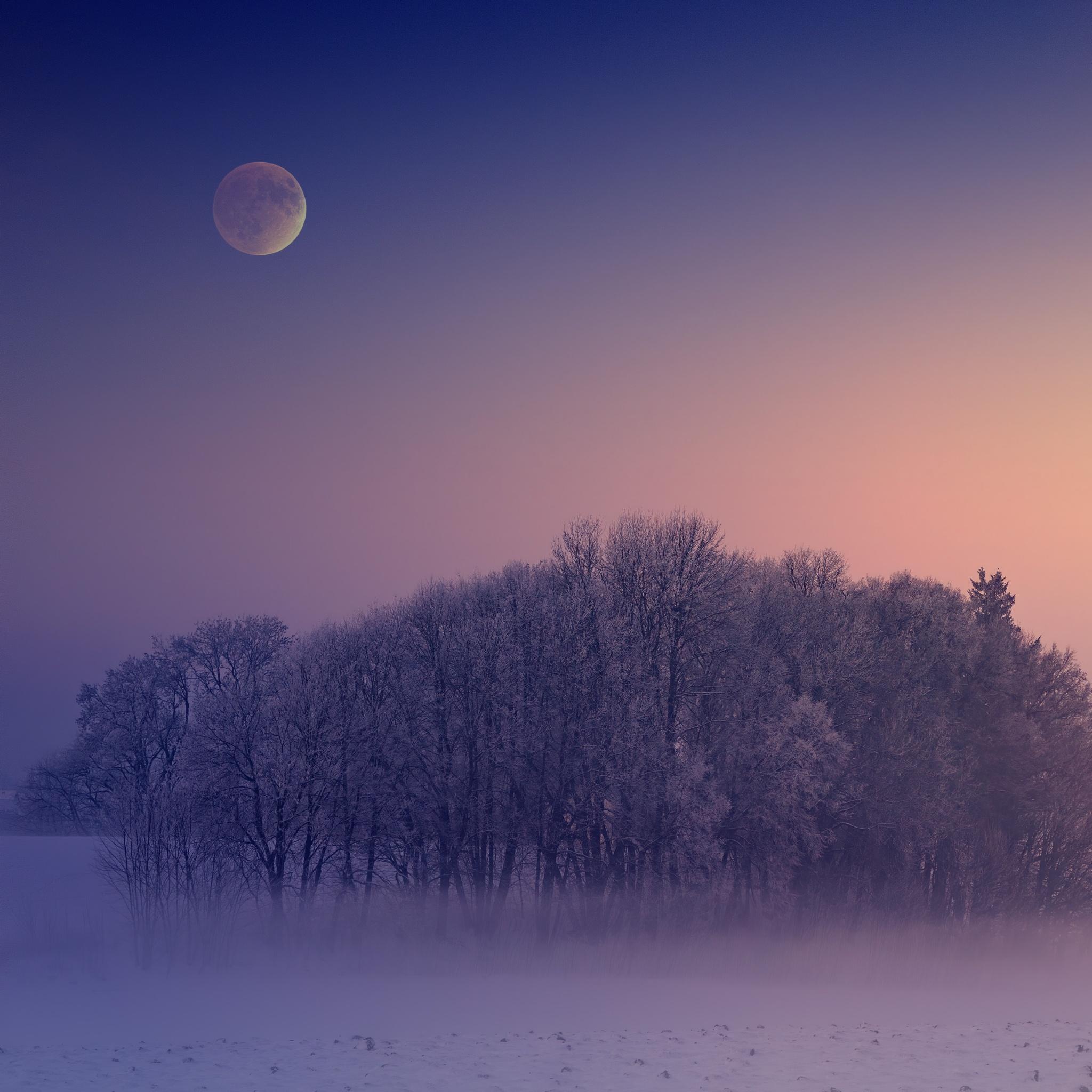 2048x2048 Winter Wallpaper 4K, Aesthetic, Morning, Foggy, Moon, Landscape, Cold, Nature