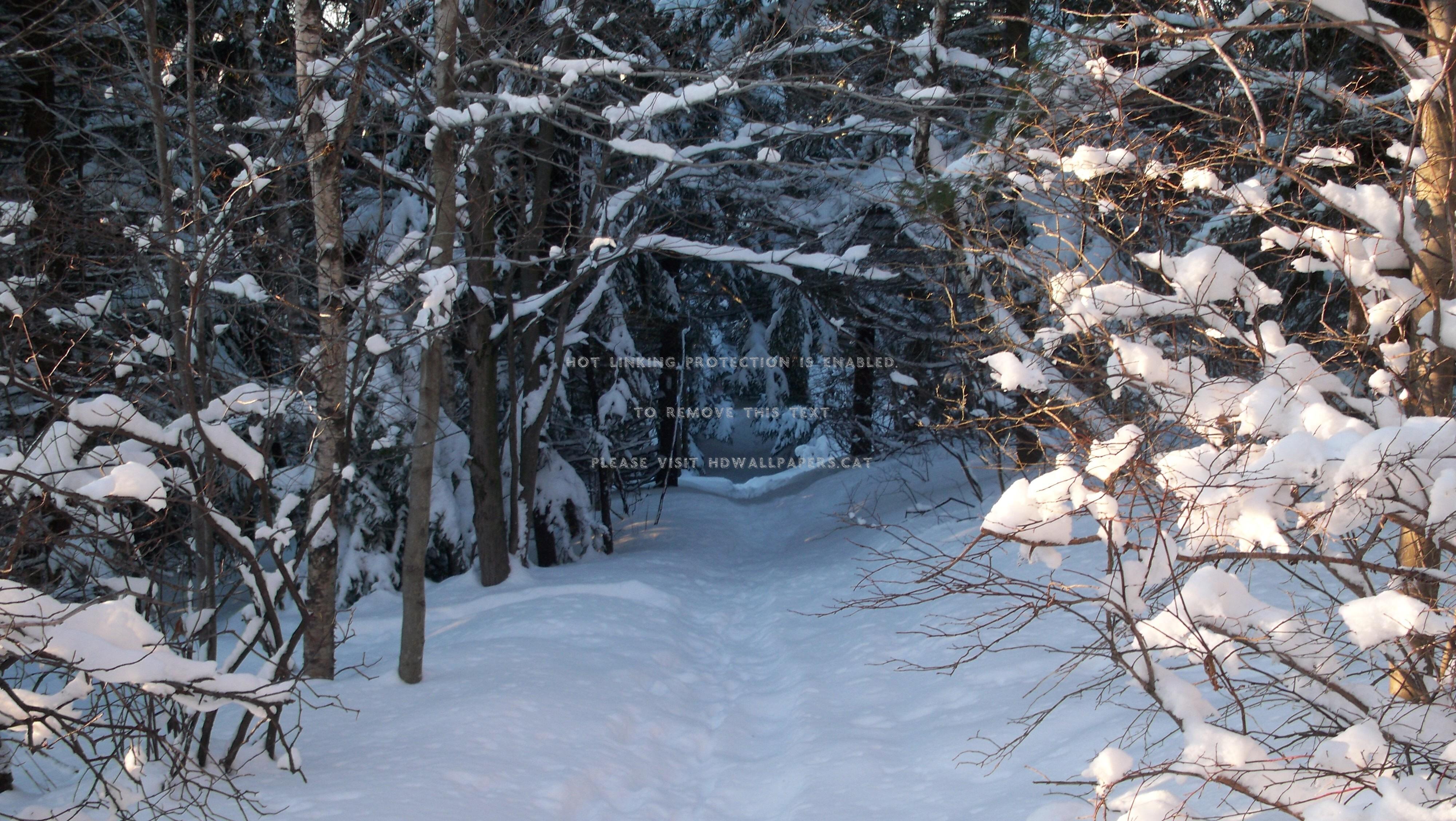4000x2256 pitcher mt trail winter new hampshire nh