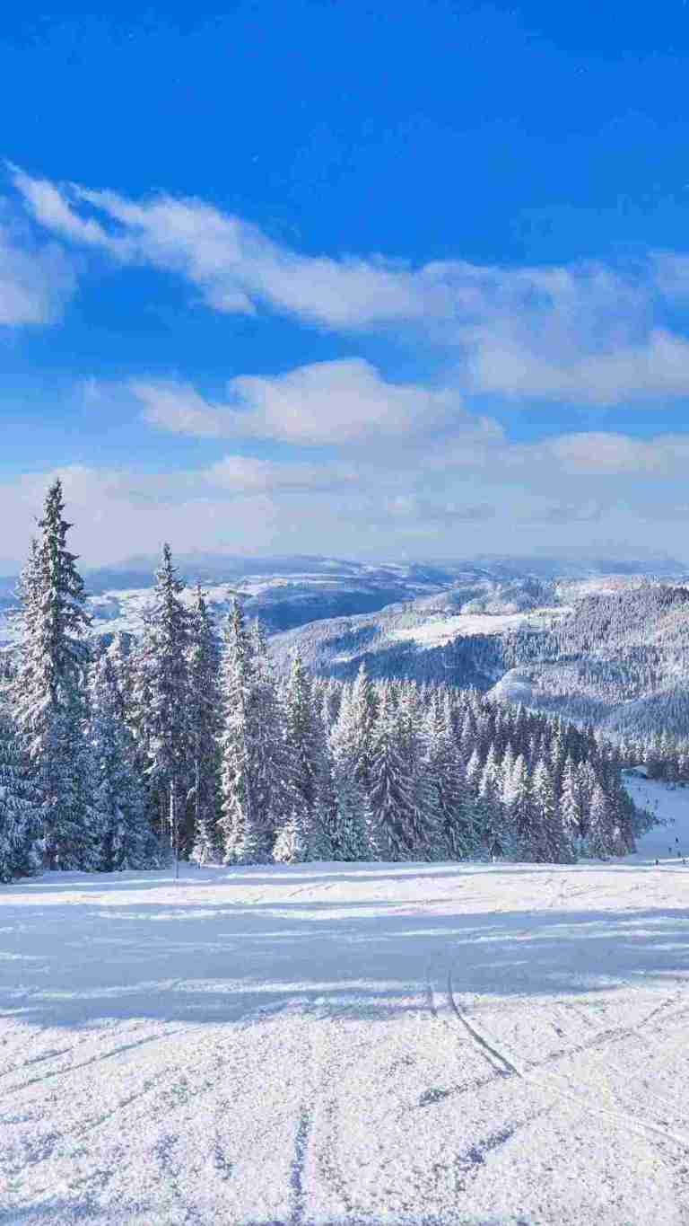 768x1365 Christmas Wallpaper For iPhone