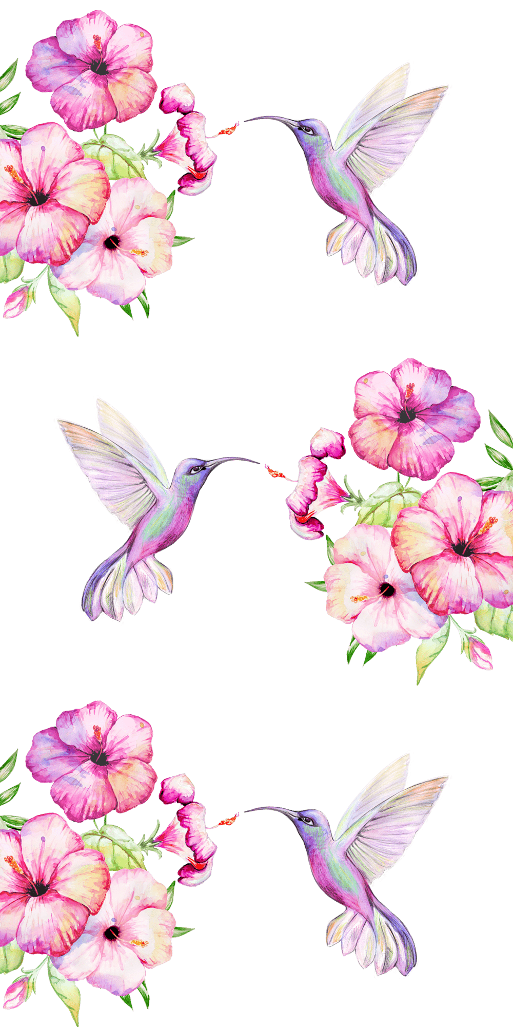 1000x2000 Tropical #Birds and #Flowers. #Casetify #iPhone #Art #Design #Animals #Floral. Watercolor hummingbird, Drawing wallpaper, Bird wallpaper