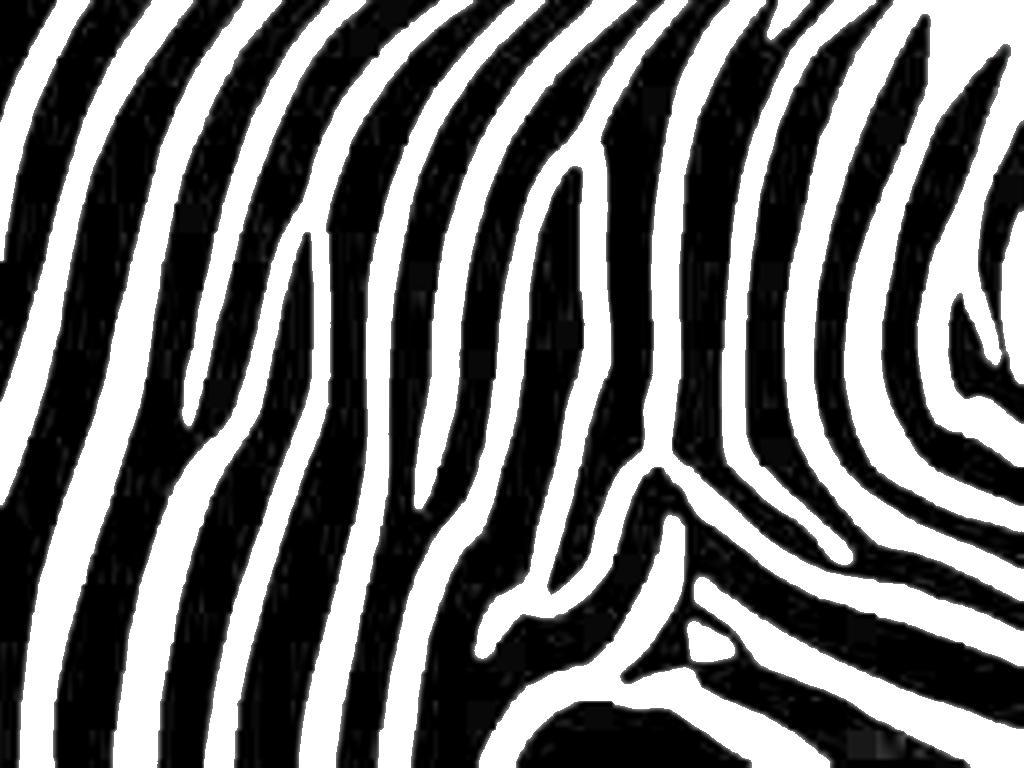 1024x768 Accessories: Incredible Image Of Zebra Wallpaper For Home