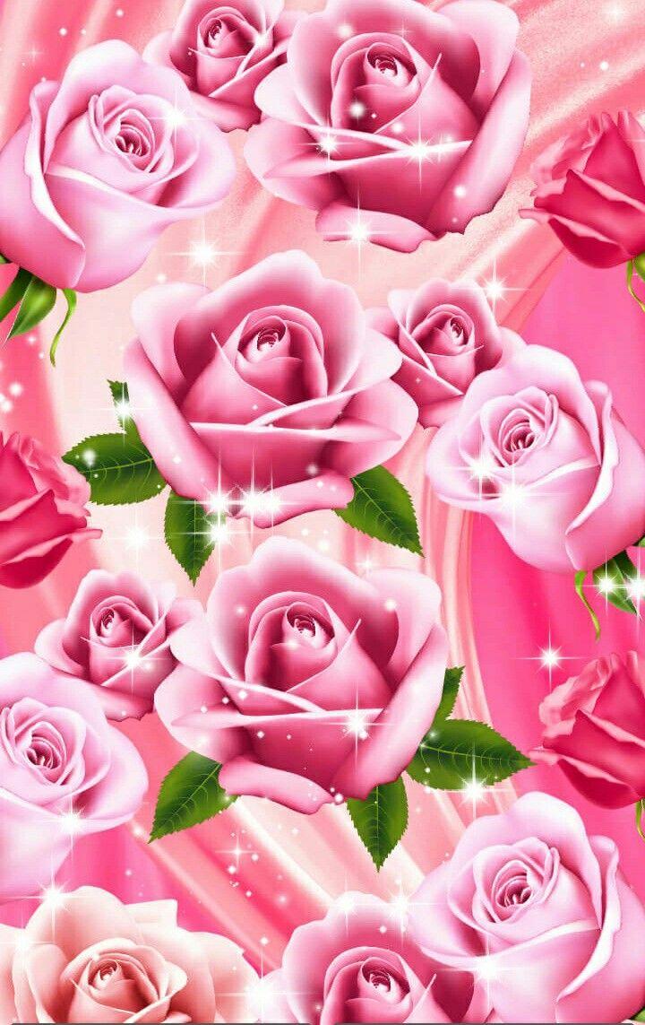 Beautiful Pink Roses Wallpapers - Top Free Beautiful Pink Roses ...